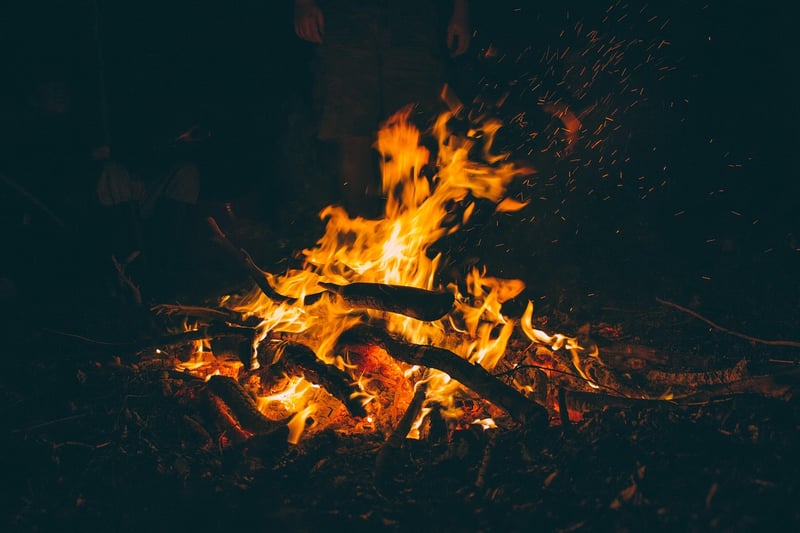 Campfire Cooking