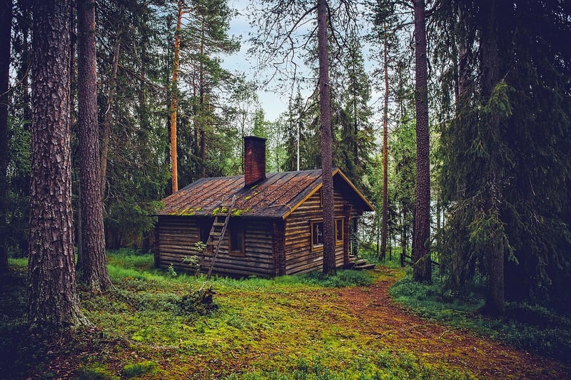 Treehouse Lodges in the Forest